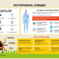 ❗Начало активности клещей в России❗